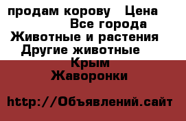 продам корову › Цена ­ 70 000 - Все города Животные и растения » Другие животные   . Крым,Жаворонки